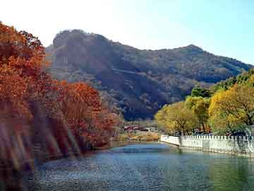 新澳天天开奖资料大全旅游团，原始美女